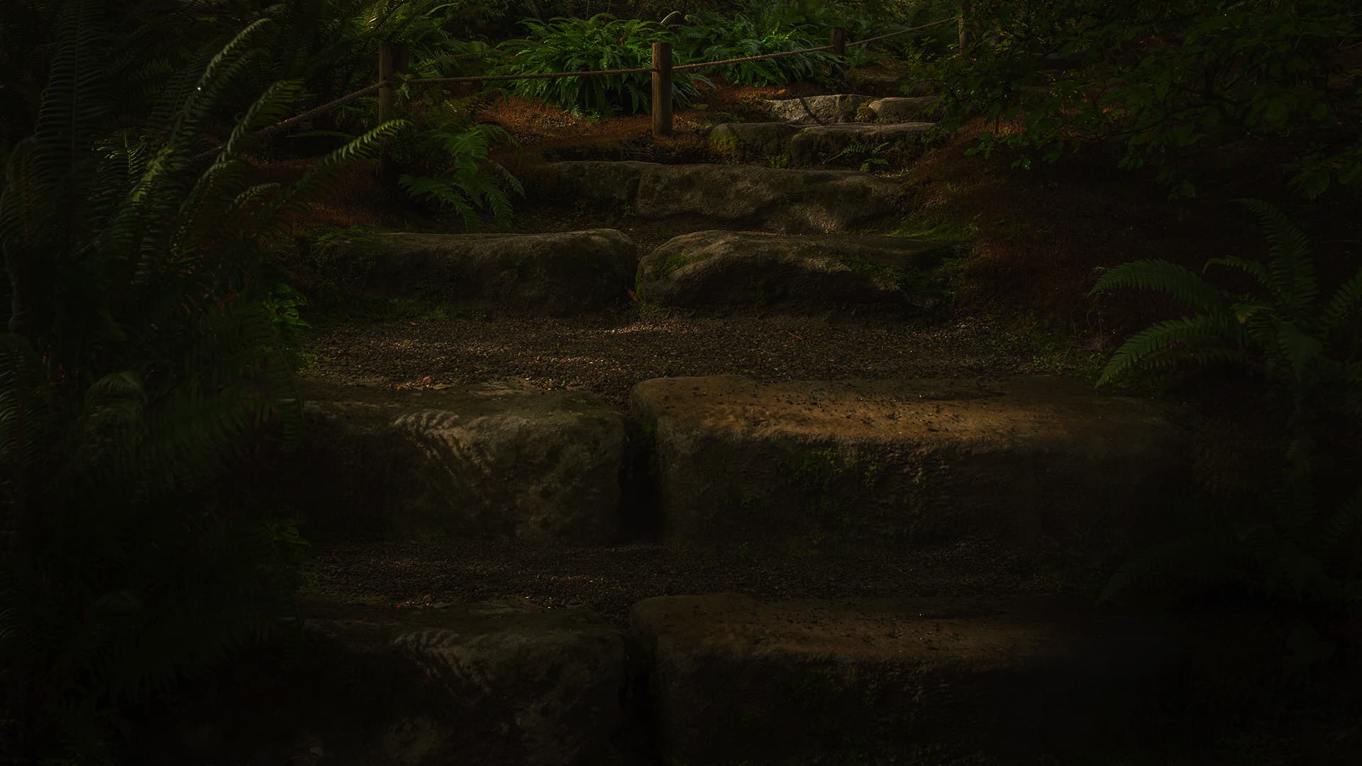 lucky scratch background